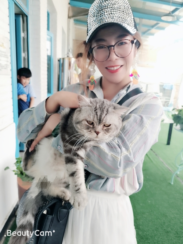 小黑猫的第一张照片--漳州相亲服务中心