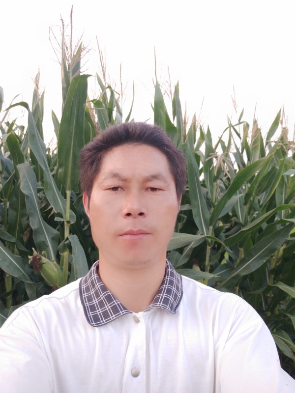四海游龙的第二张照片--漳州相亲服务中心