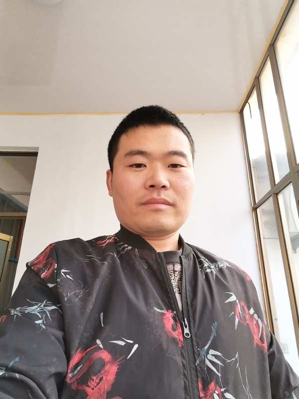 会飞的猪的第一张照片--漳州相亲服务中心