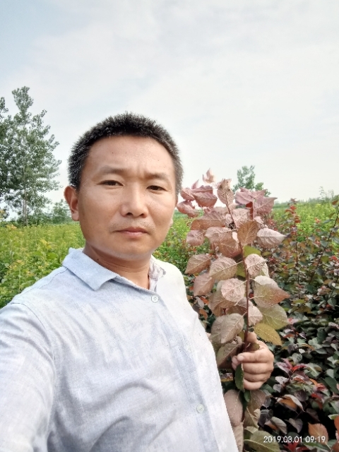 孩子爸的第二张照片--漳州相亲服务中心