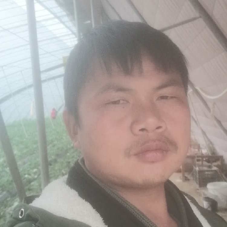 孤狼‘的第一张照片--漳州相亲服务中心
