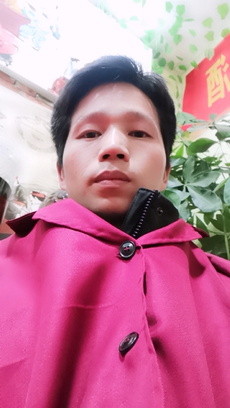 单身的林凡的第一张照片--漳州相亲服务中心