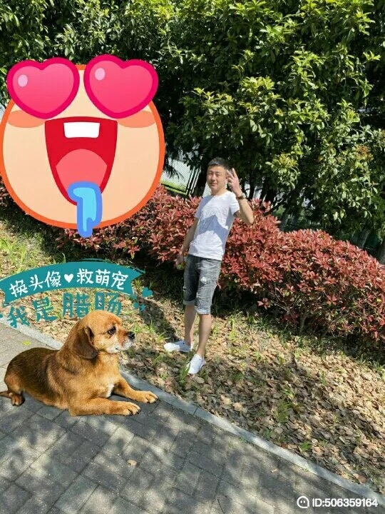 我若不坚强谁替我勇敢的第五张照片--漳州相亲服务中心