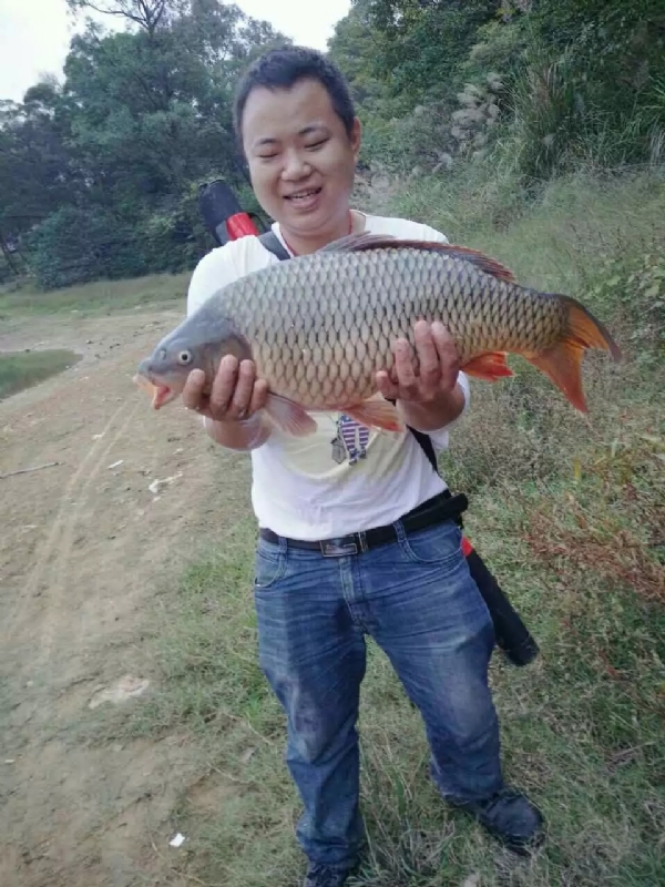 迷路的男人的第一张照片--漳州相亲服务中心