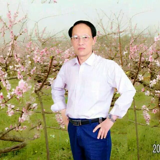 枫叶的第一张照片--漳州相亲服务中心